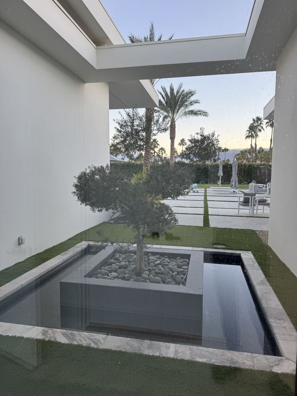 Courtyard water feature with olive tree